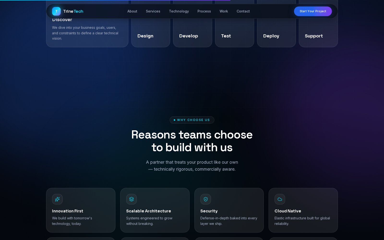 Trine Tech Solutions website preview